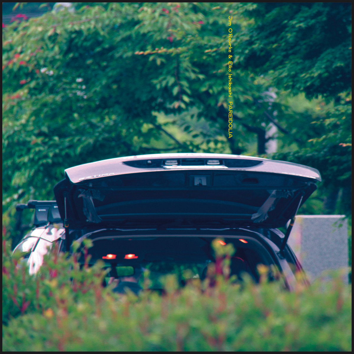 Eiko Ishibashi and Jim O'Rourke - Pareidolia album cover