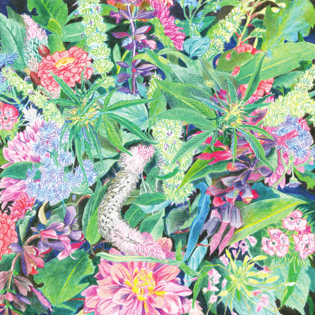 Light-Space Modulator - The Rising Wave album cover