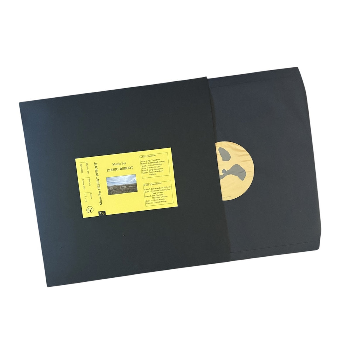 Trii - Music for Desert Reboot LP vinyl