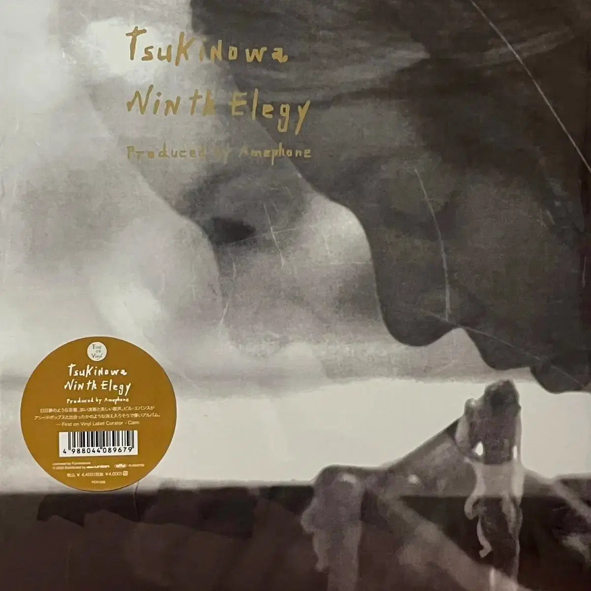 Tsuki No Wa - Ninth Elegy album cover