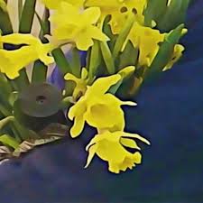 dean blunt & Elias Rønnenfelt - lucre