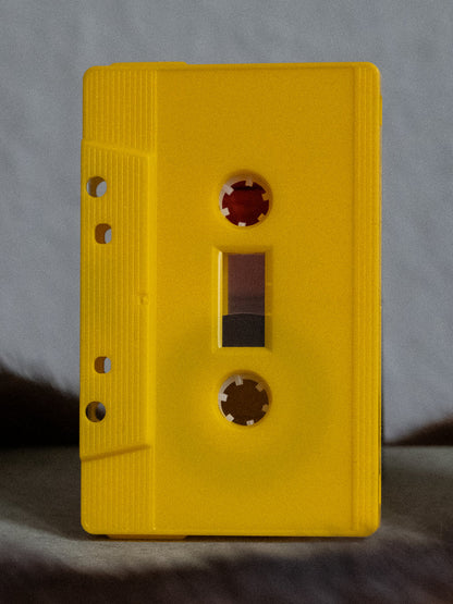 Jonas Torstensen - Den falmede dag (Cassette)