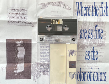 Erik Kramer - Where the fish are as fine as the color of colors (Cassette)