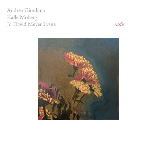 Andrea Giordano / Kalle Moberg / Jo David Meyer Lysne - Radis album cover