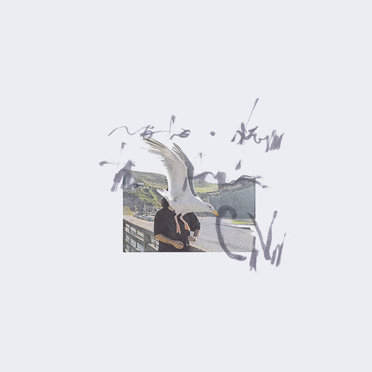 Ciro Vitiello - notes from the air album cover