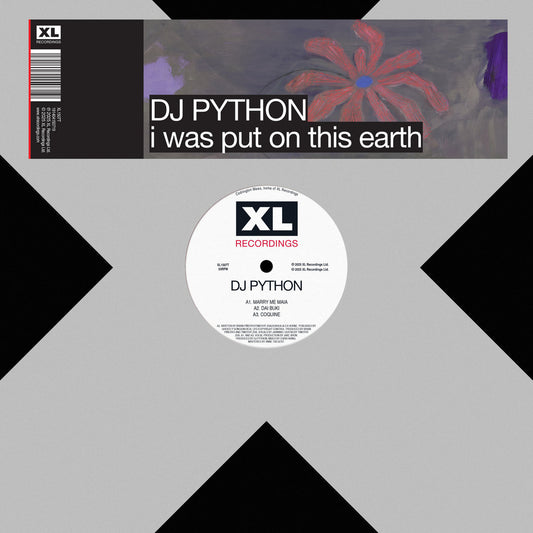 DJ Python - i was put on this earth album cover