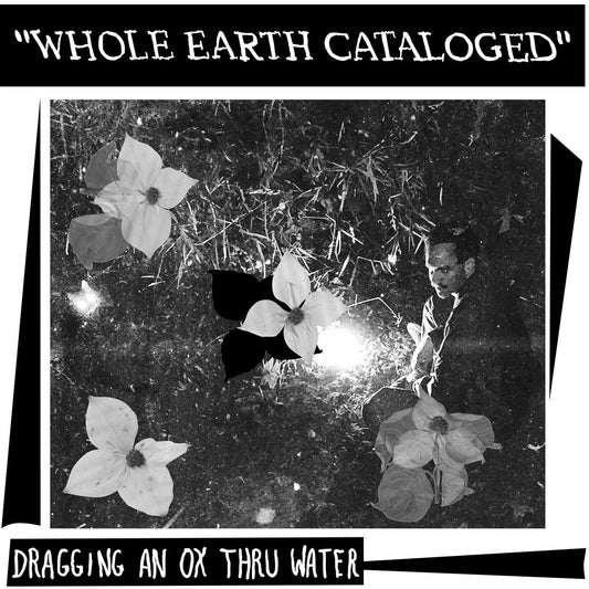 Dragging an Ox Thru Water - Whole Earth Cataloged album cover