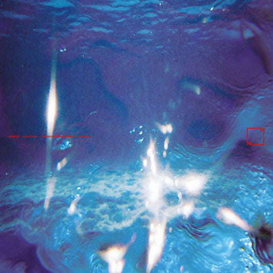Fabiano Do Nascimento & E Ruscha V - Aquáticos album cover
