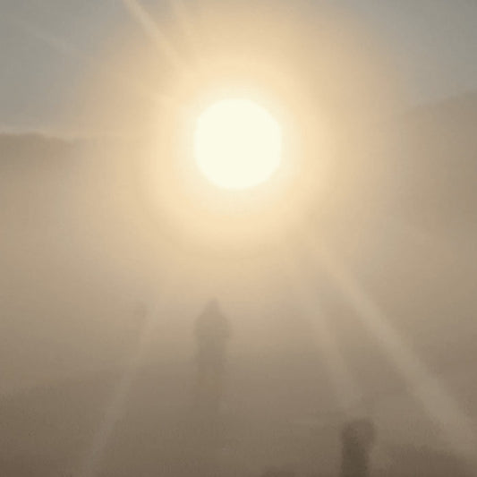 Florian TM Zeisig - A New Life album cover