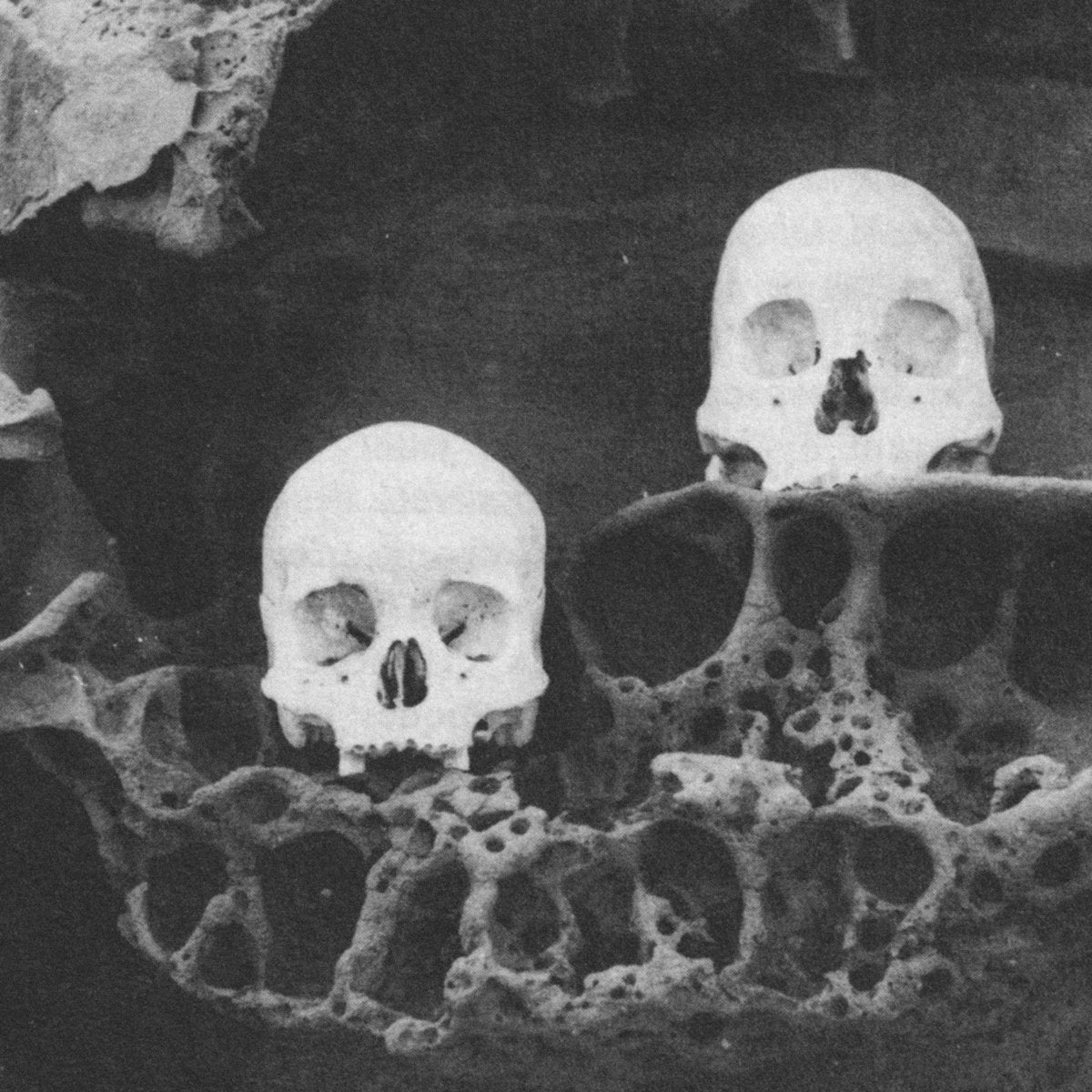 France - Destino Scifosi album cover