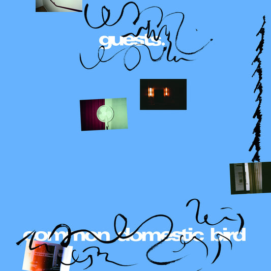 Guests - Common Domestic Bird album cover — collage with text and small images on a blue background