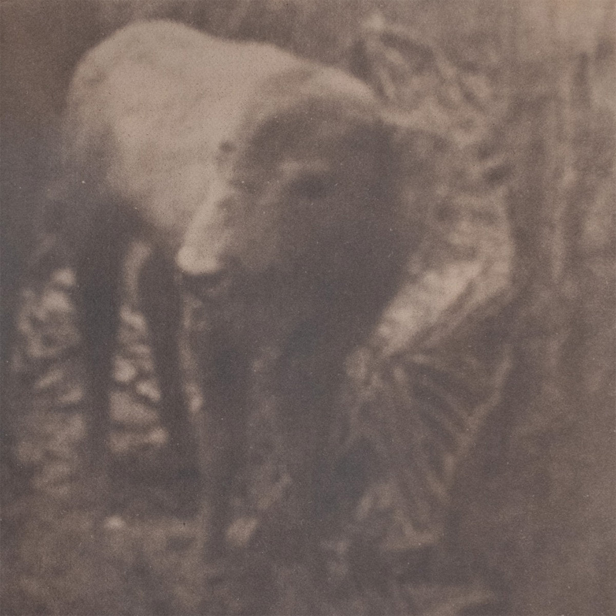 Gustav Kemps - Lonesome For A Storm album cover