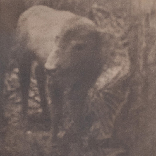 Gustav Kemps - Lonesome For A Storm album cover