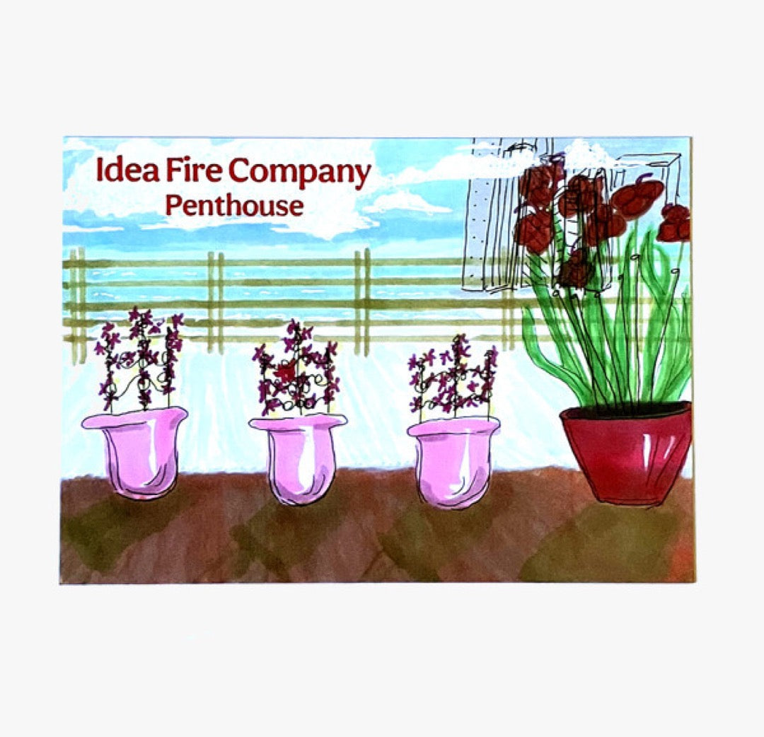Idea Fire Company - Penthouse (7") album cover image