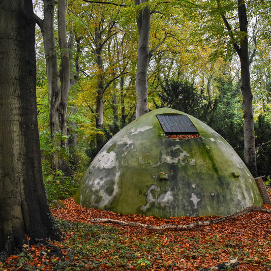 In Transit - In Transit album cover