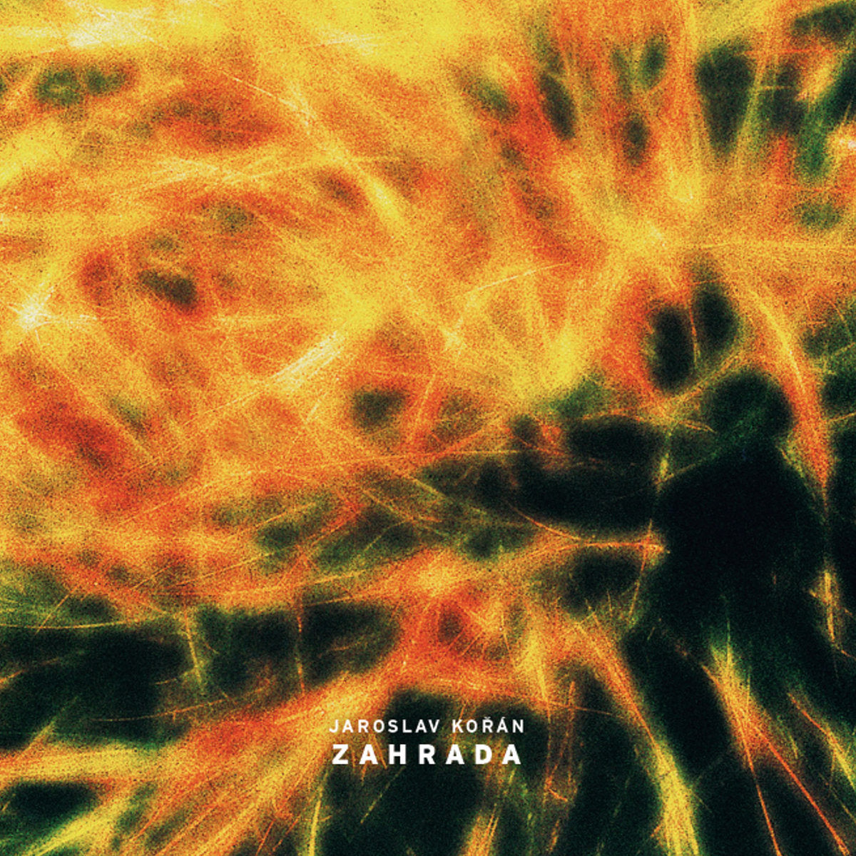 Jaroslav Kořán - Zahrada album cover