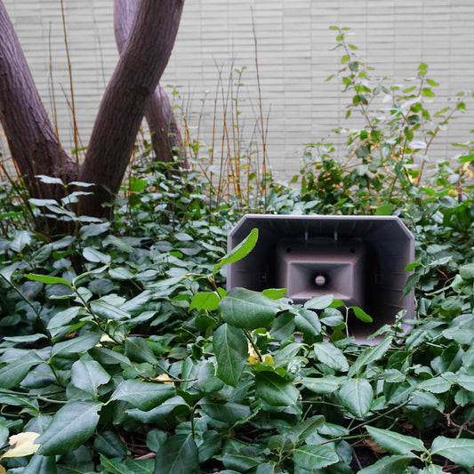 Jasmine Guffond - Muzak for the Encouragement of Unproductivity album cover