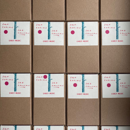 Jon Collin - The Land cassette, back view. 2026 edition on Early Music. Available at Seasonal Work Records.