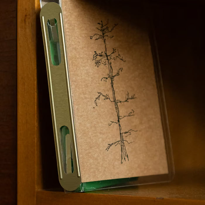 Cassette with a tree illustration on a wooden surface