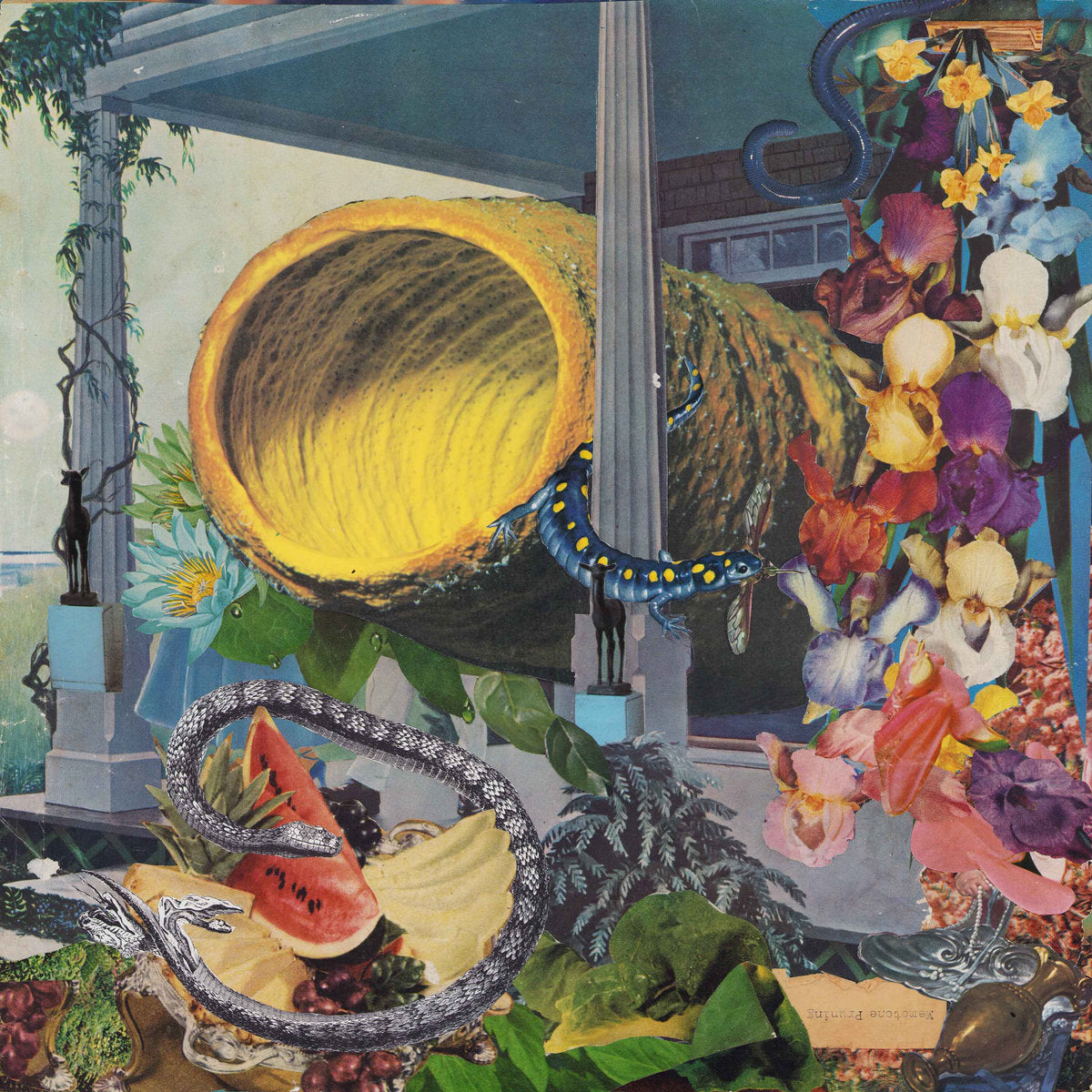 Memotone - Pruning album cover