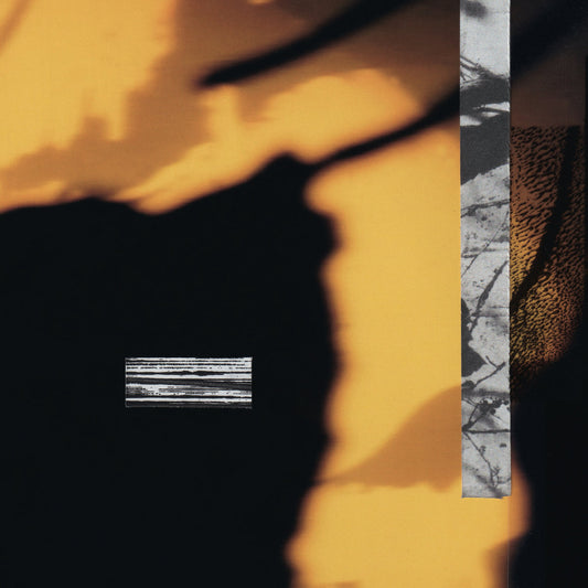 Album cover with a silhouette of a person, abstract patterns, and text on a warm-toned background