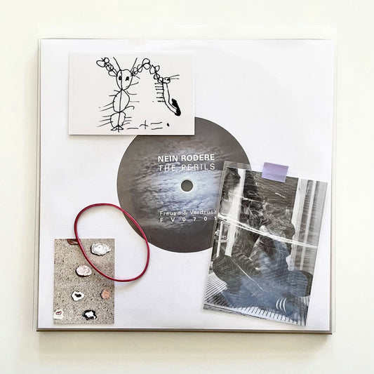 Nein Rodere - The Perils of Astir 7". Front view. Freuyd & Verdrusz, Germany, 2026. Available at Seasonal Work Records.