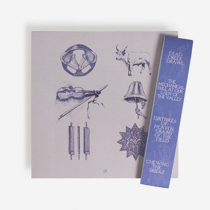 Old Saw - Country Tropics LP back cover. Lobby Art Editions, LP, originally released in 2021. 5th Year Anniversary Repress, 2026. Available at Seasonal Work Records.