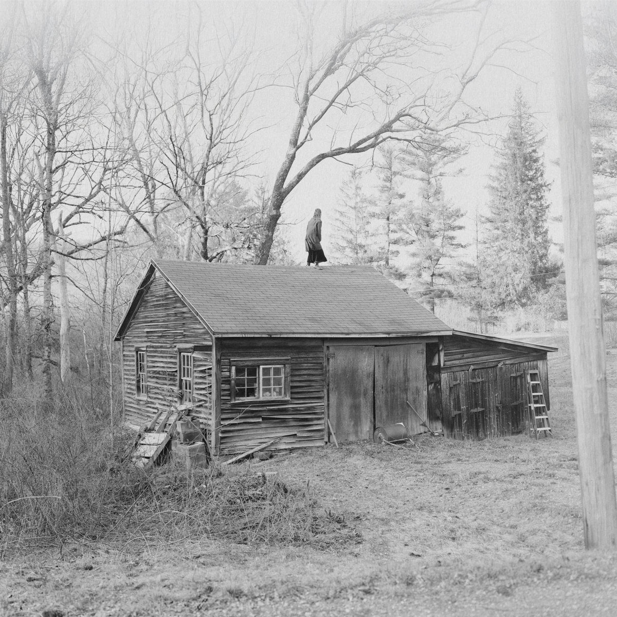 Old Saw - The Wringing Cloth album cover