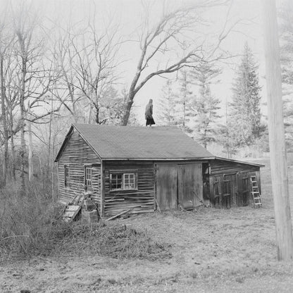 Old Saw - The Wringing Cloth album cover