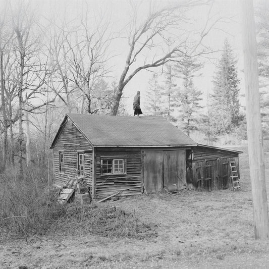 Old Saw - The Wringing Cloth album cover