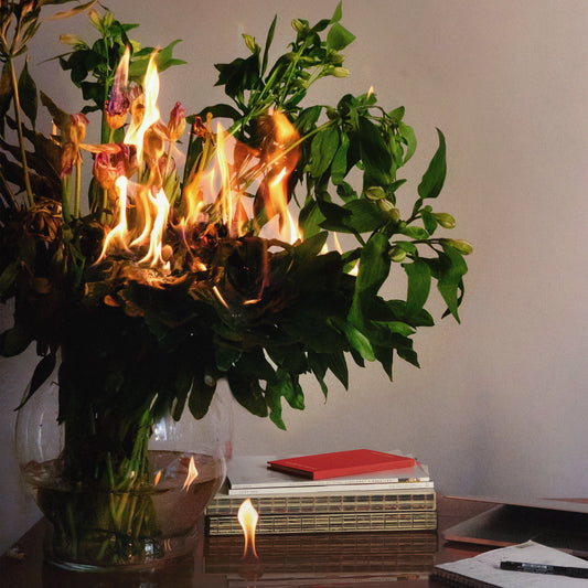 Piotr Kurek - Songs and Bodies album cover