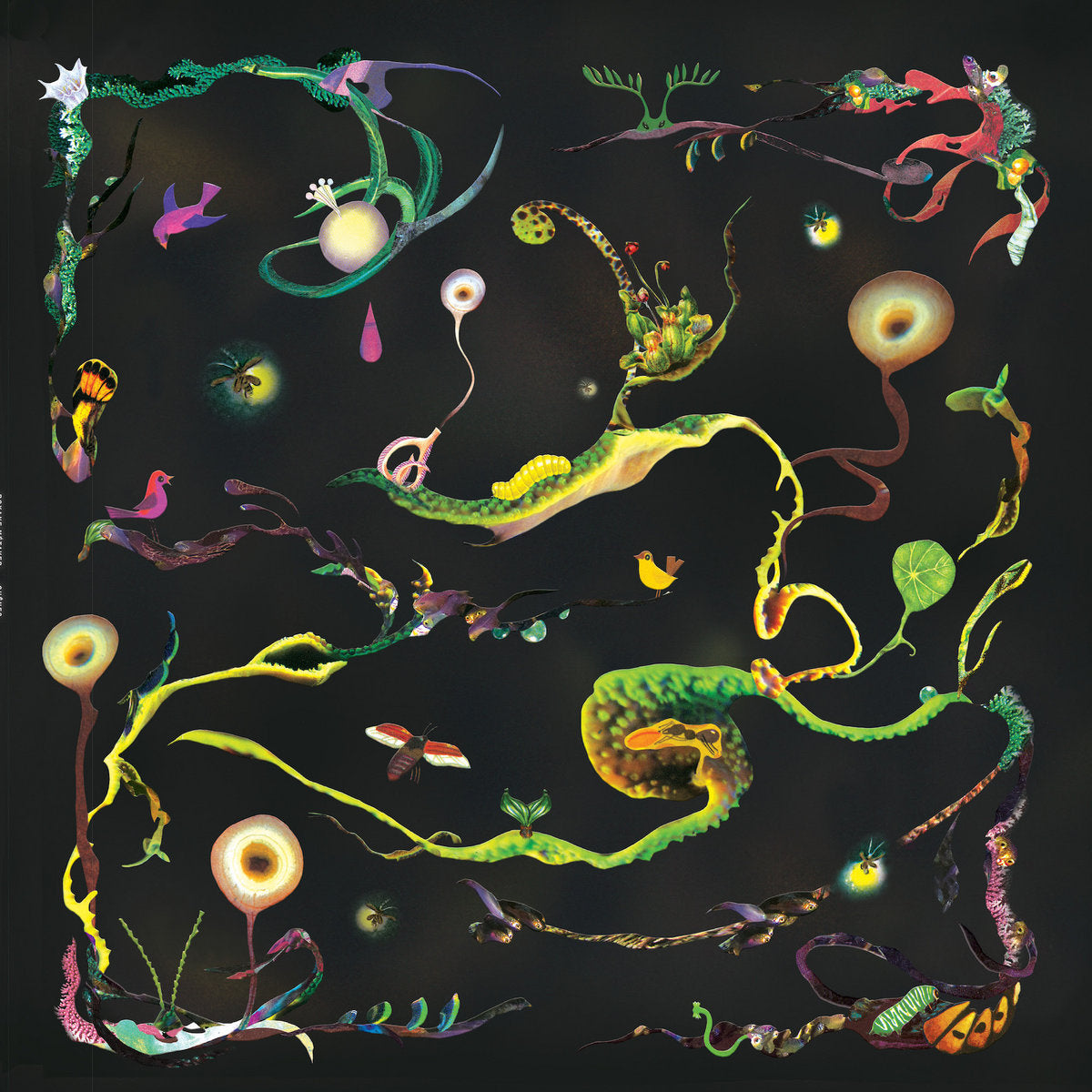 Roxane Métayer - Chênes album cover
