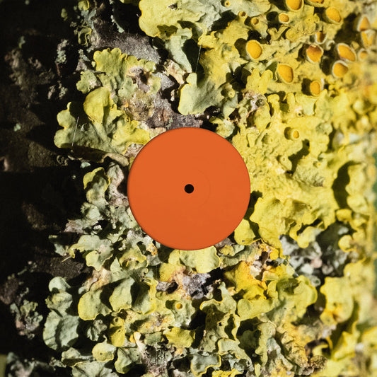 Sa Pa - The Fool album cover