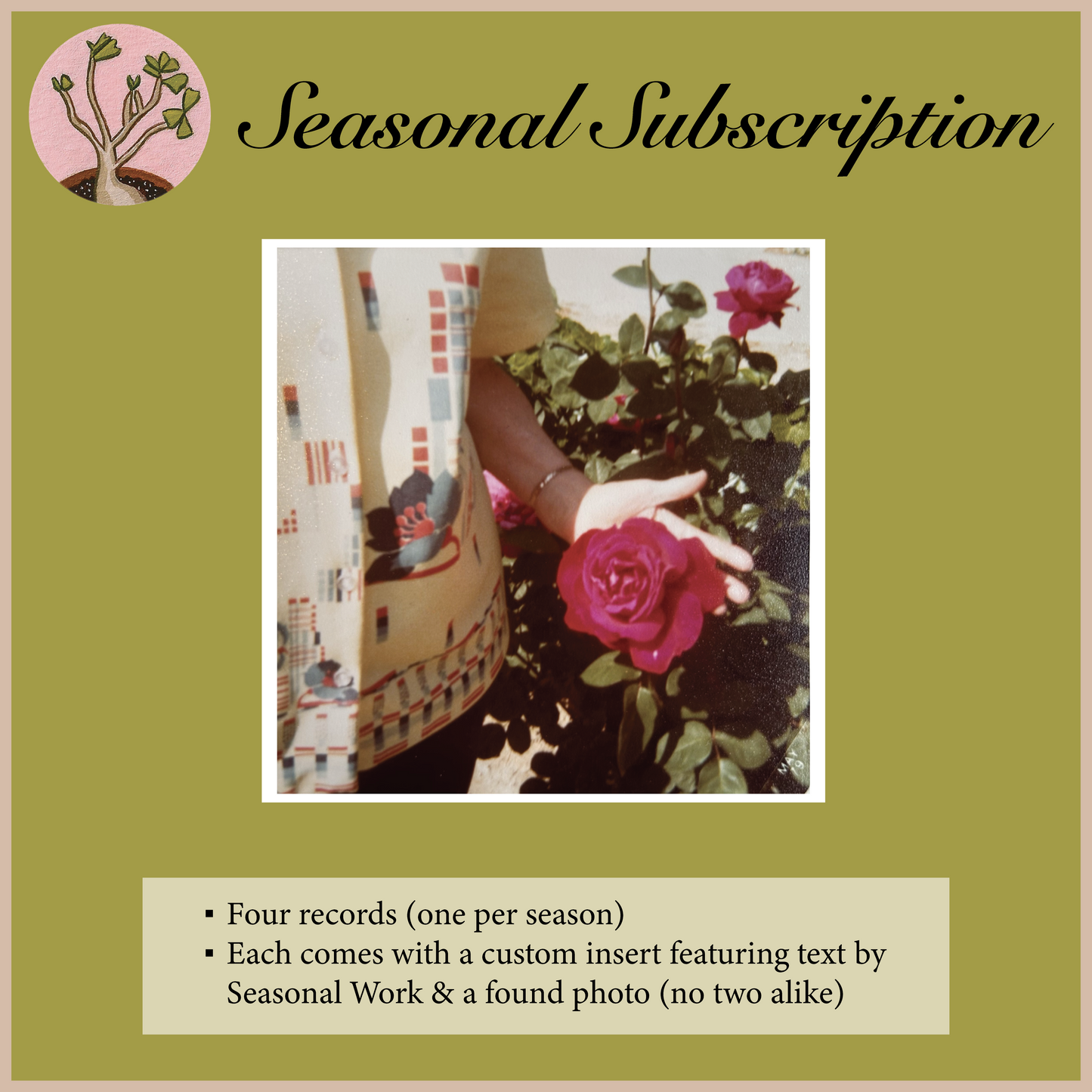 Seasonal Subscription Plan (2026)