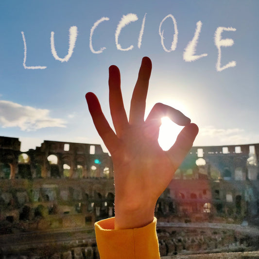 Hand with fingers extended towards the sun in front of a scenic background with 'LUCCIole' text.