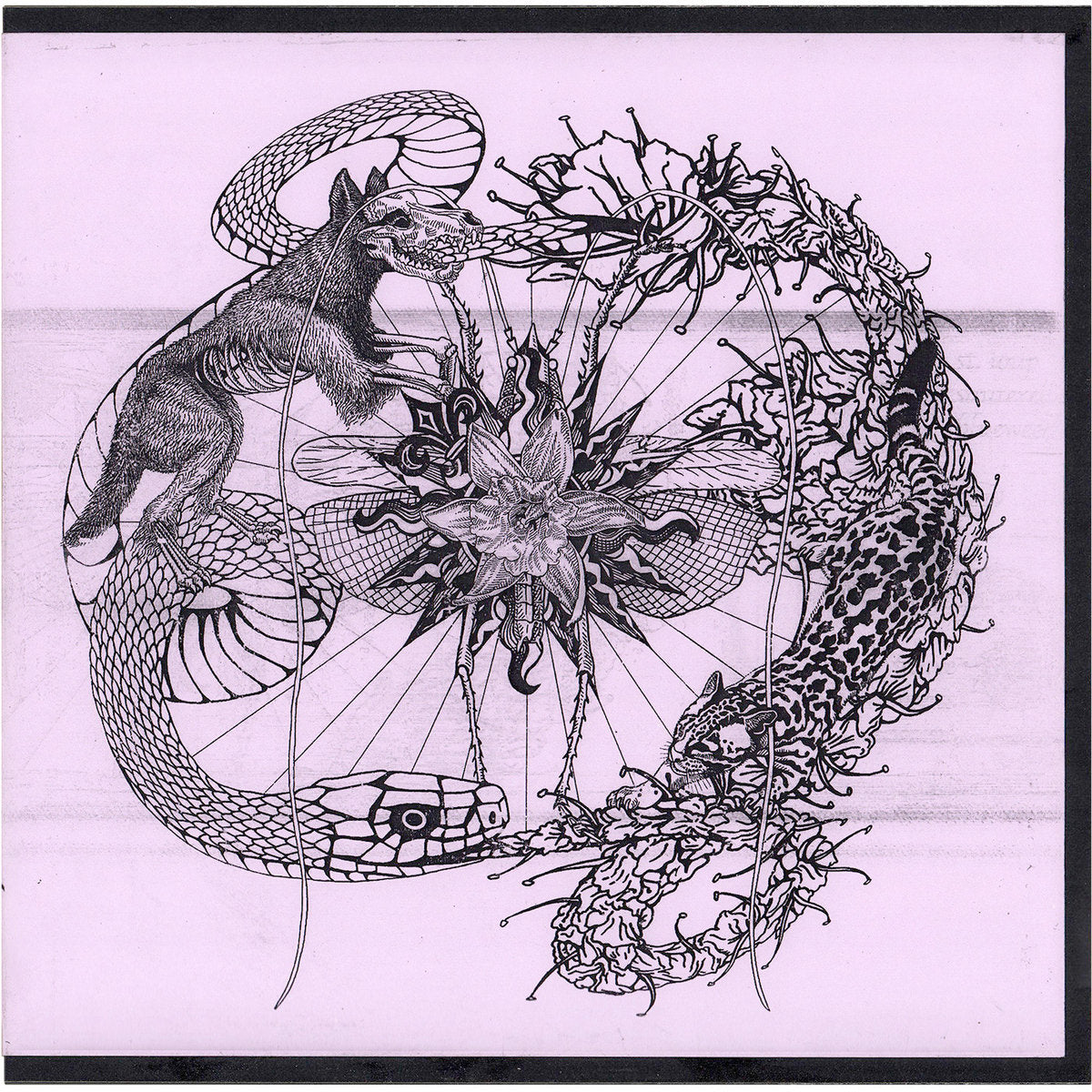 Turner Williams Jr. - vipérine album cover
