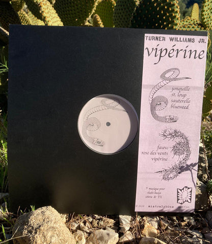 Vinyl record with a black cover and a label titled 'Vipérine' against a natural background.