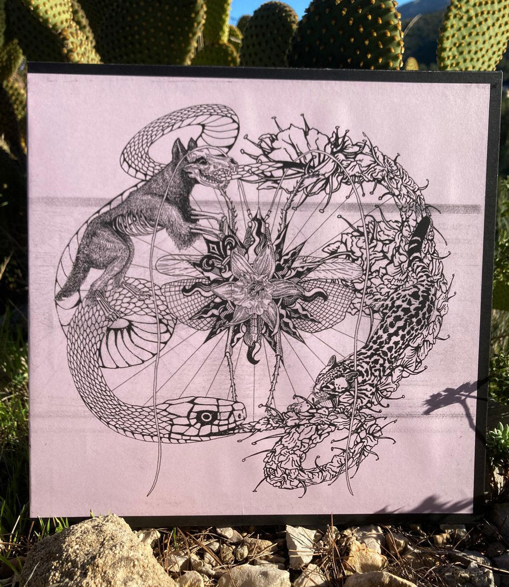 Artistic illustration of a dragon and a fox on a pink background, with cacti in the background.