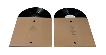 Two vinyl records with black labels inside brown sleeves on a white background