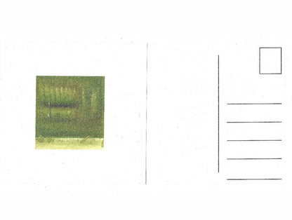 Various Artists - Some Things Never Change, But We Won't Always Be Around To See Them: paper insert 2 (postcard)