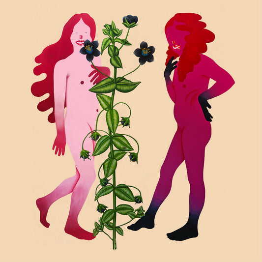Various Artists - Someone Like Me album cover
