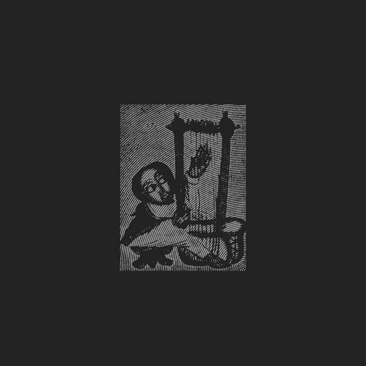 Various Artists - The World Is But a Place of Survival: Begena Songs from Ethiopia album cover