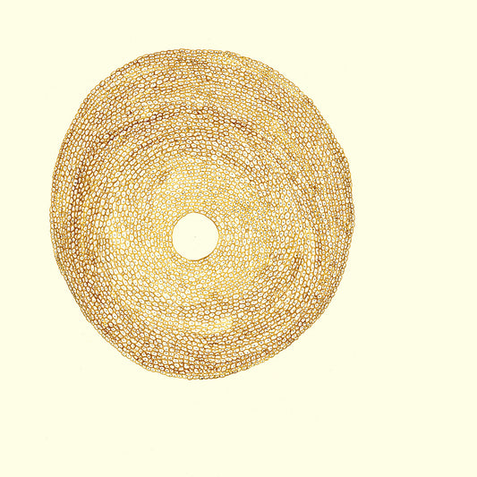 Jordi Santanach - Strata