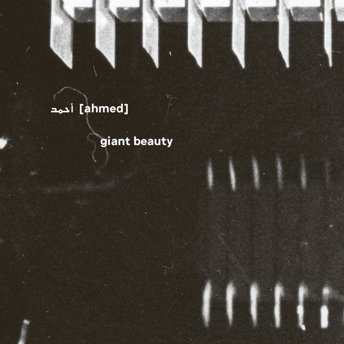 أحمد [Ahmed] - Giant Beauty (5CD)
