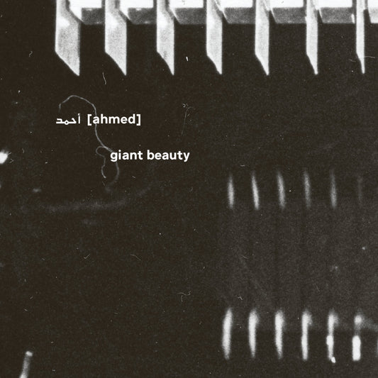 أحمد [Ahmed] - Giant Beauty (5CD)