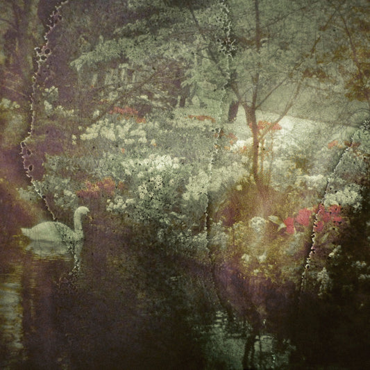 Elodie - Echos Pastoraux