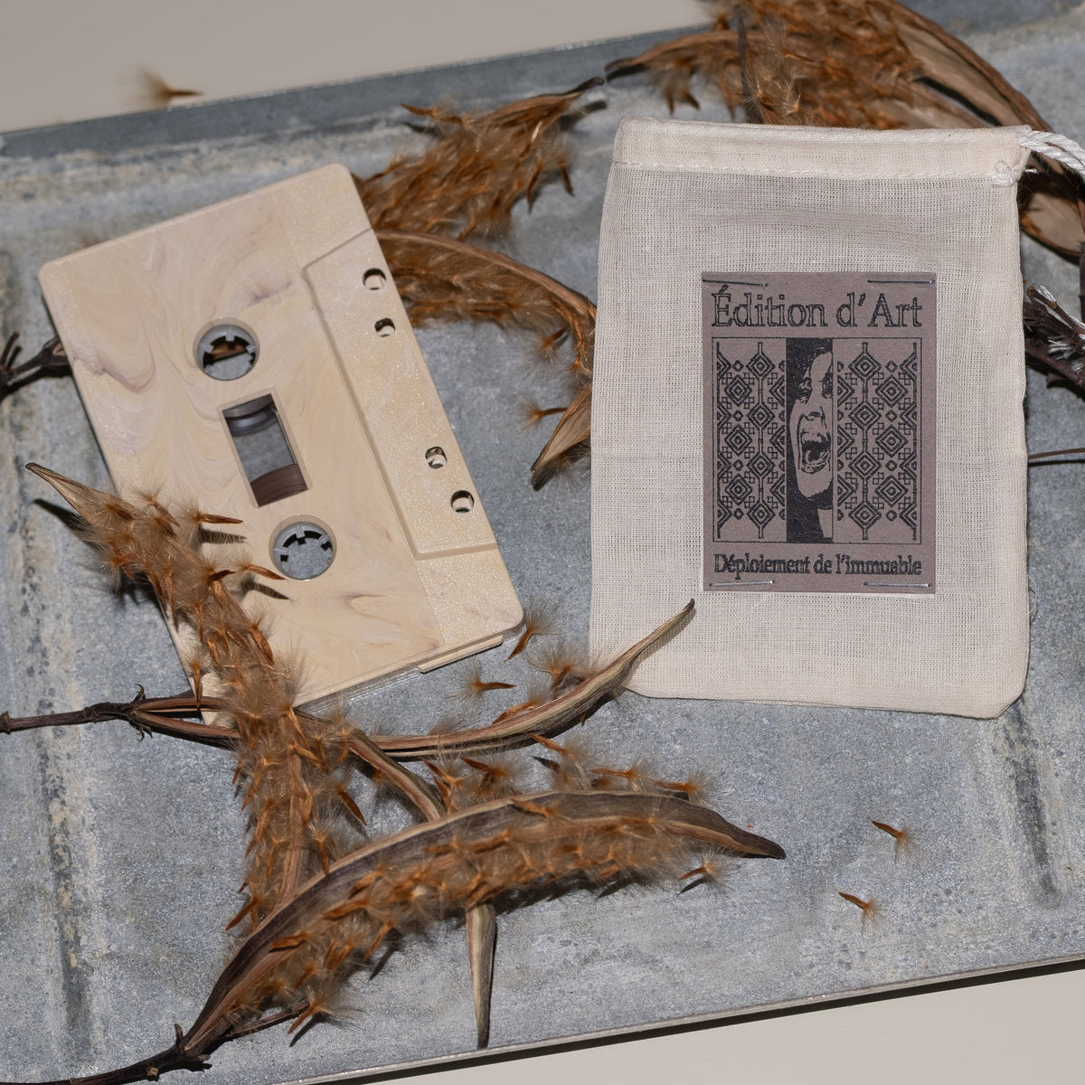 Cssette tape and cover with dried leaves on a textured surface