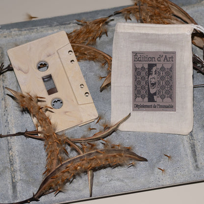 Cssette tape and cover with dried leaves on a textured surface
