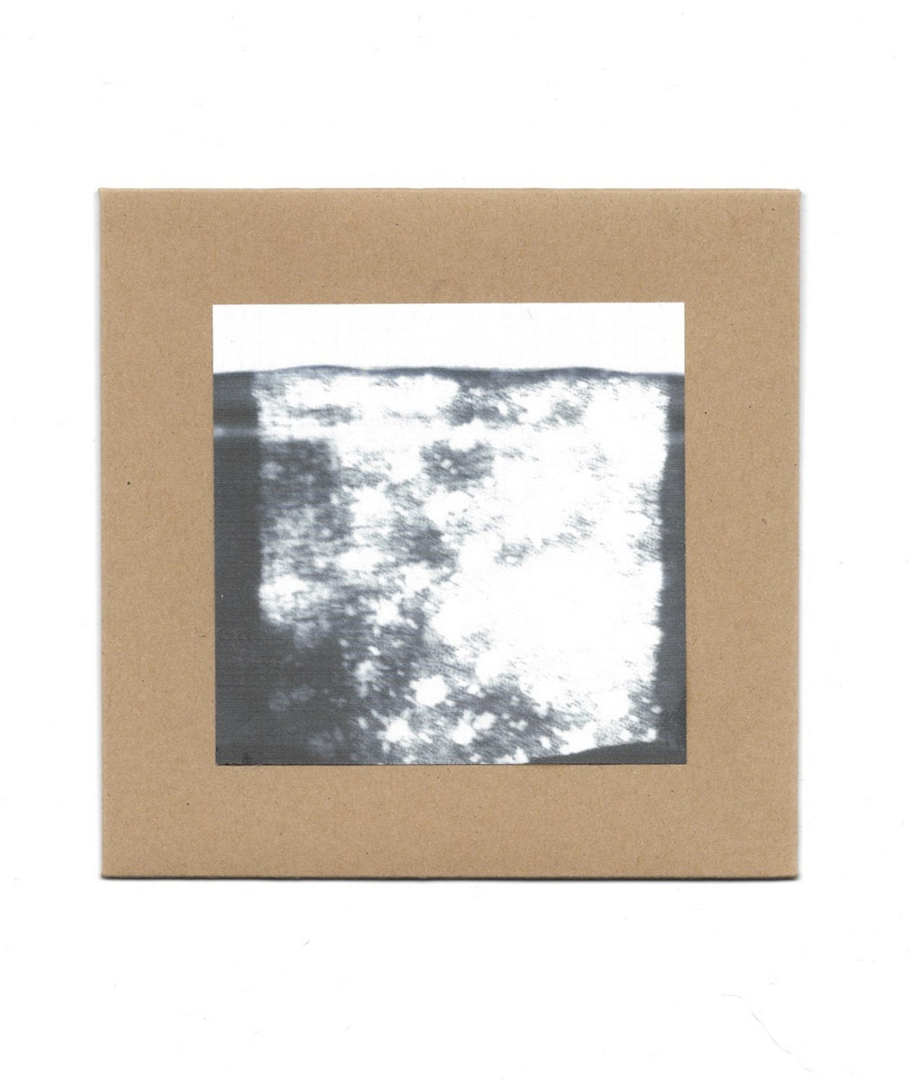 music lovers anonymous - I painted my fence in the rain so I could do it all over again (CD)