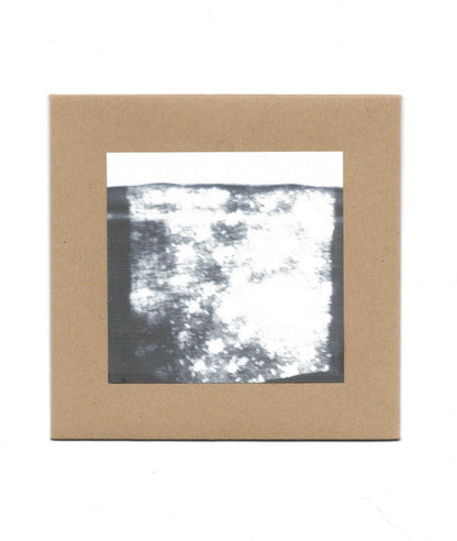 music lovers anonymous - I painted my fence in the rain so I could do it all over again (CD)